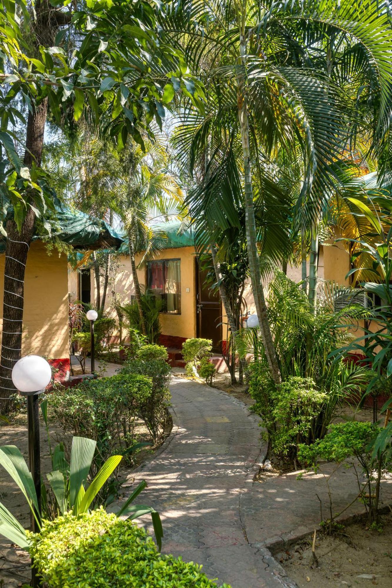 The Wild Orchid Resort Corbett رامناجار المظهر الخارجي الصورة